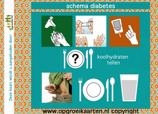 suikerziekte / Diabetes schema 1